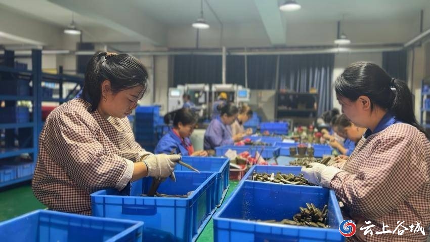 年銷售收入突破8000萬元！襄陽立強機械訂單飽和產銷兩旺