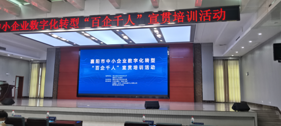 多維發力，共促發展新篇（六月篇）