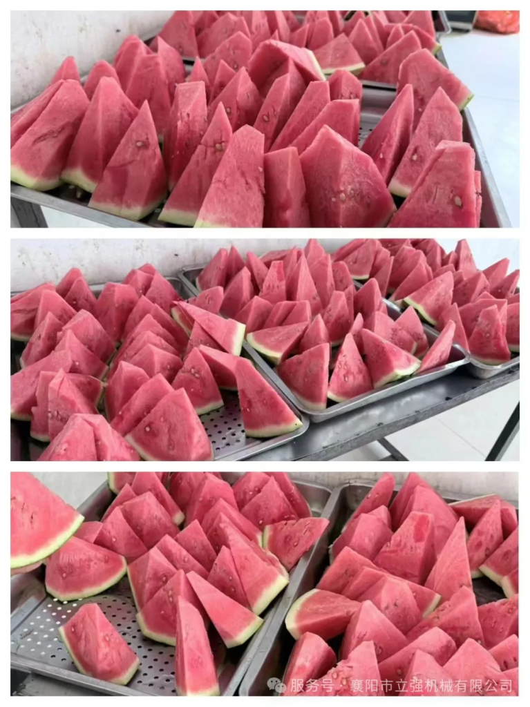 盛夏深耕結(jié)碩果，創(chuàng)新奮進(jìn)正當(dāng)時(shí)（七月篇）